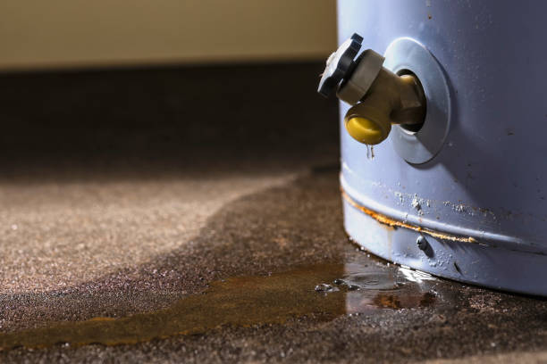 Best Mold removal after water damage  in Churchill, OH