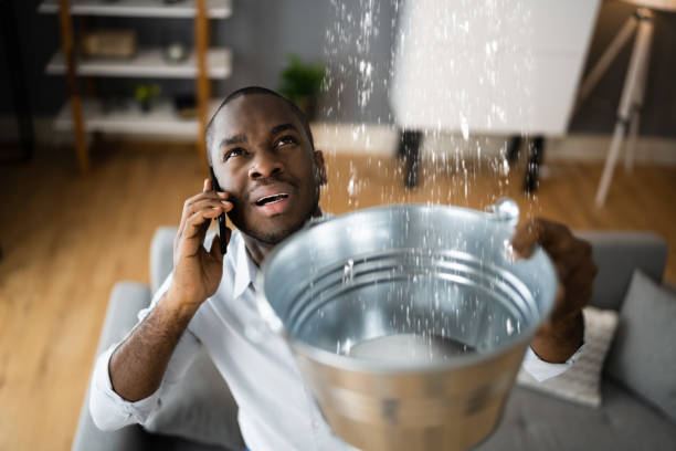 Best Water damage cleanup near me  in Churchill, OH