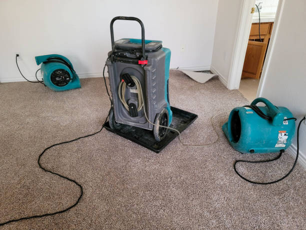 Best Water damage restoration company  in Churchill, OH