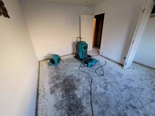 Best Basement water damage restoration  in Churchill, OH