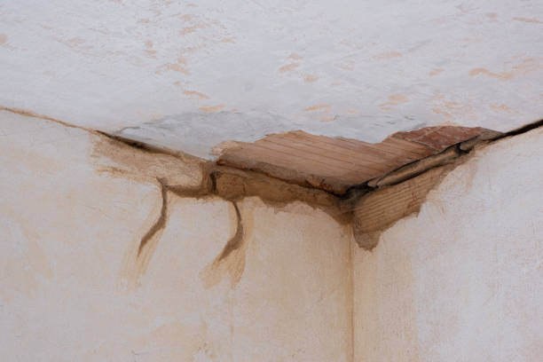 Best Local water damage restoration  in Churchill, OH