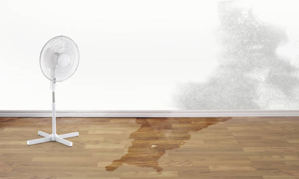 Best Local water damage restoration  in Churchill, OH