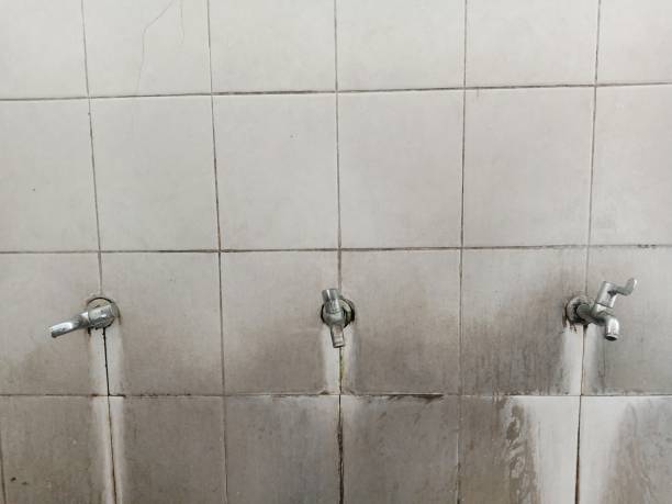 Best Professional water damage repair  in Churchill, OH