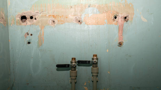  Churchill, OH Water damage restoration Pros